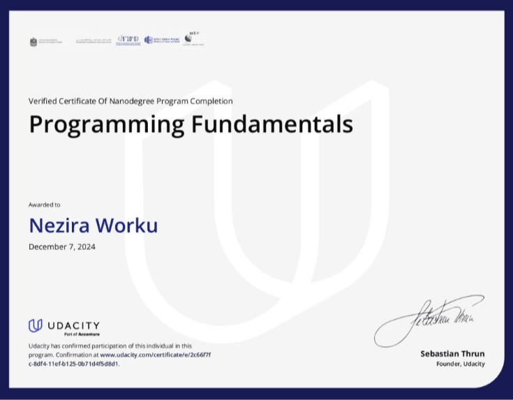 Udemy Programming Fundamentals Certificate